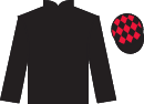 DynamicForce.png