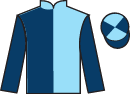 Theflyingbee.png
